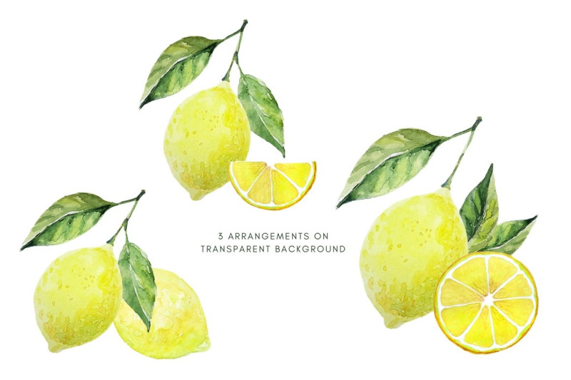 citrus-fruit-watercolor-set-lemons-and-leaves-hand-drawn-clipart