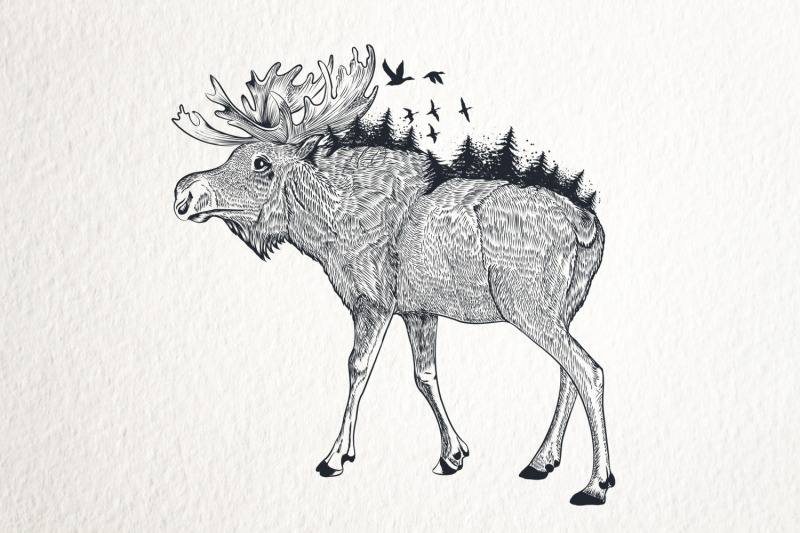 animal-series-wild-soul-elk-vector-illustration