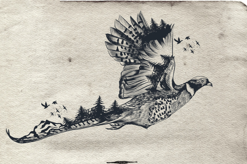 animal-series-wild-soul-pheasant-vector-illustration