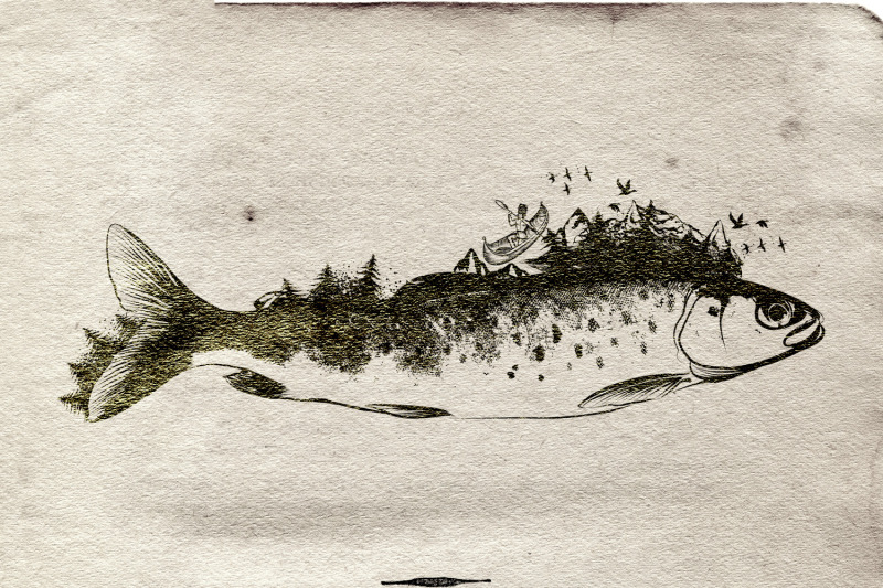 animal-series-wild-soul-fish-vector-illustration