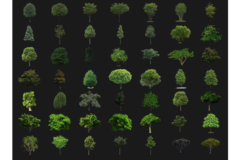 200-trees-transparent-png-photoshop-overlays-backdrops-backgrounds