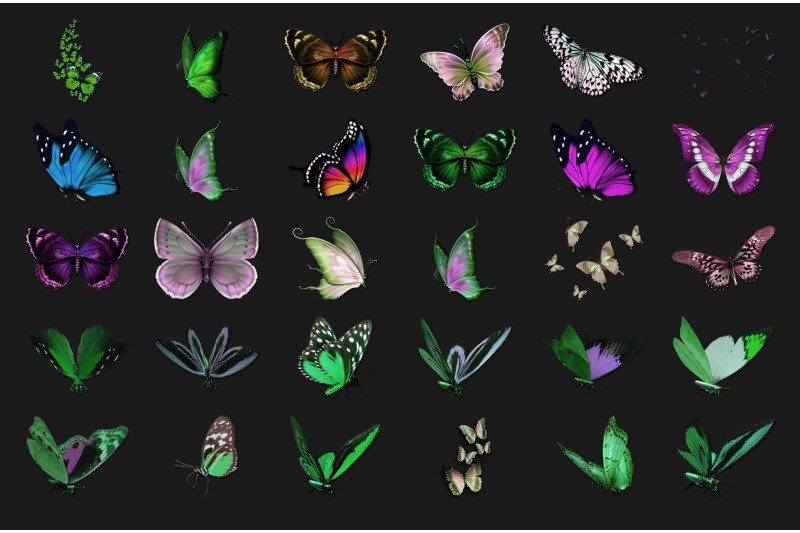 100-butterflies-transparent-png-photoshop-overlays-backdrops