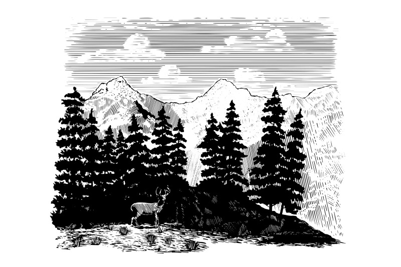 deer-in-the-mountains