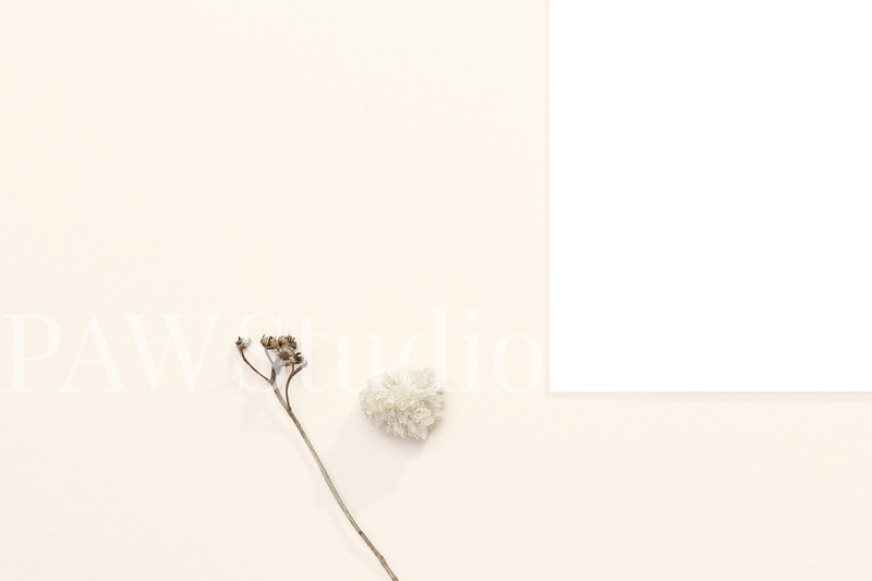 wedding-card-with-dry-flowers