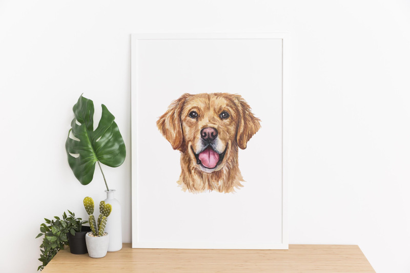 golden-retriever-watercolor-set-dog-illustrations-6-dogs