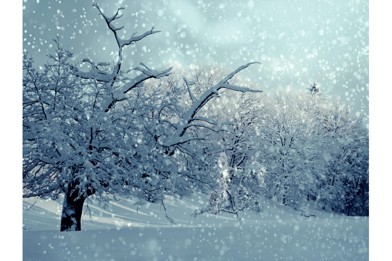 200-snow-transparent-png-photoshop-overlays-backdrops-backgrounds