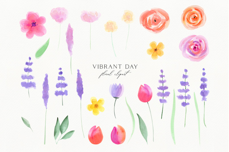 watercolor-floral-vibrant-set