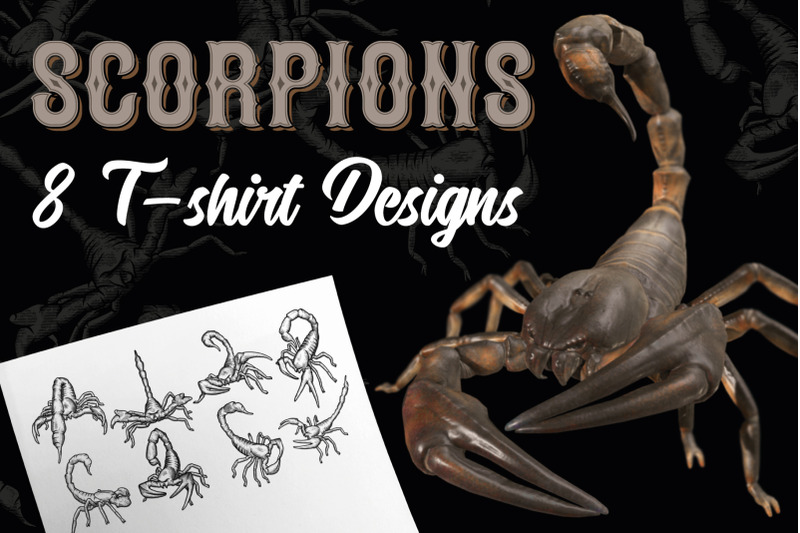 scorpions-8-t-shirt-designs