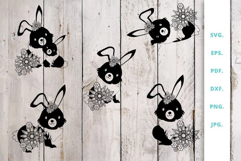 floral-easter-bunny-cut-file-bundle