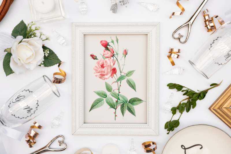 pink-elegant-rose-illustration-wedding-rose-clipart