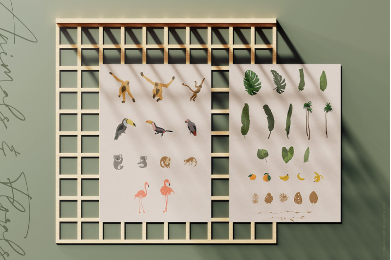 nature-leaf-collection