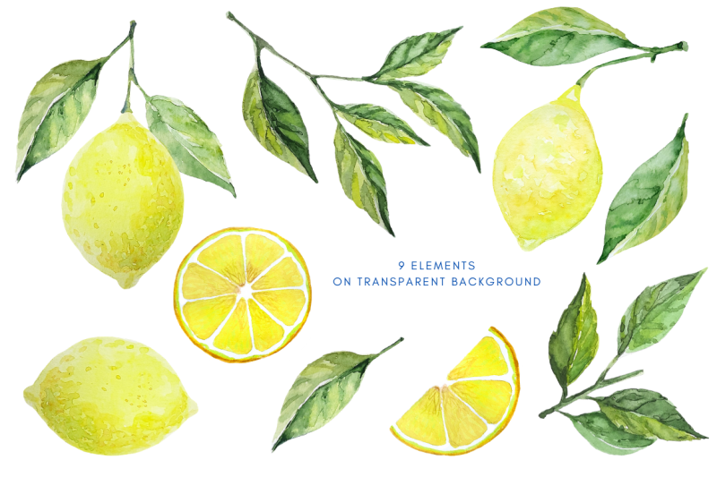 lemon-collection-set-of-lemon-elements