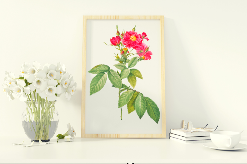 rose-for-scrapbooking-elegant-rose-design-vintage-wall-art