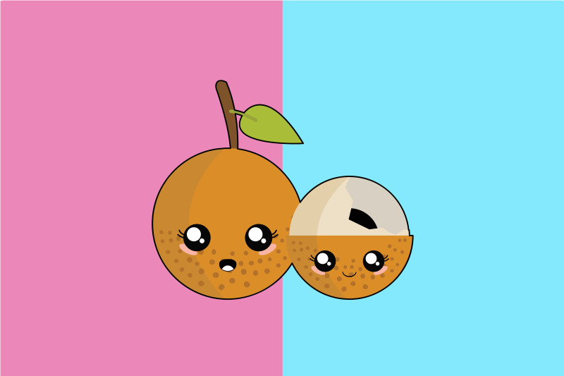 kawaii-cute-couple-longan-art