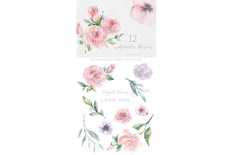watercolor-collection-wedding-rose