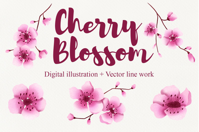 cherry-blossom-clipart