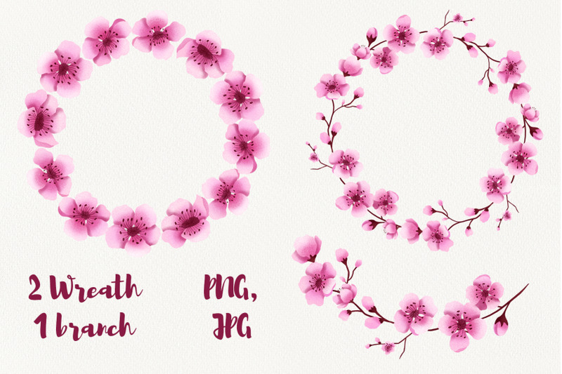 cherry-blossom-clipart