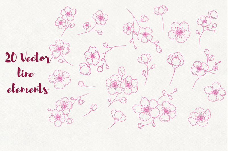 cherry-blossom-clipart