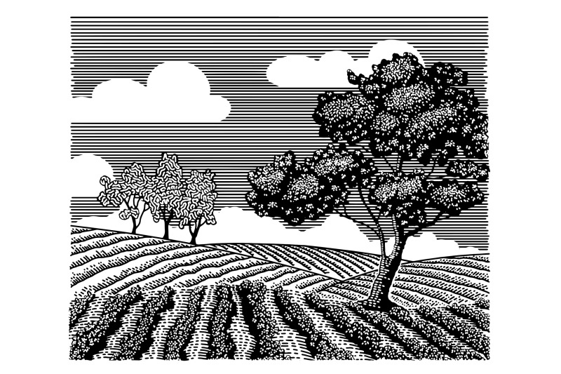 generic-landscape-doodle