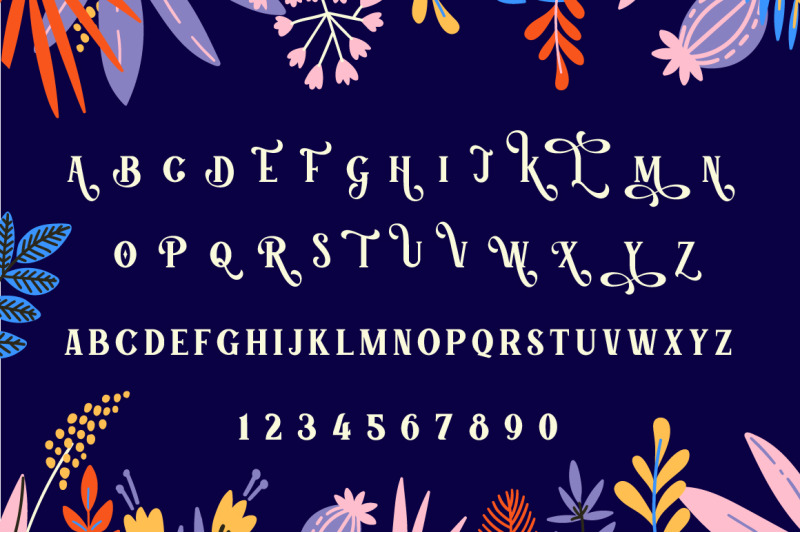 tumbled-serif-font-swirly-font-serif-font-stylish-font