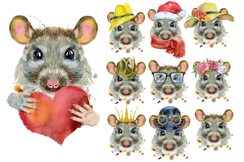 watercolor-rats