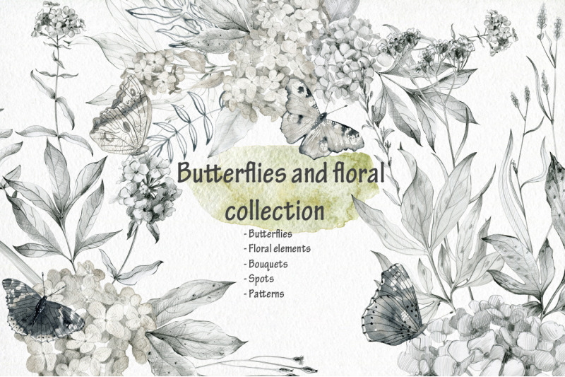 butterflies-and-floral-collection