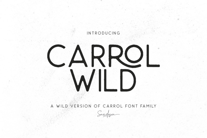 carrol-wild-modern-sans