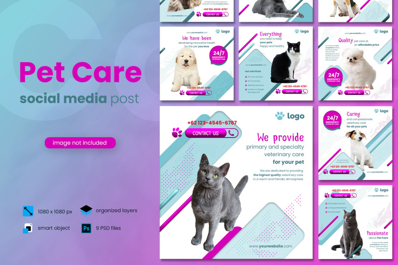 pet-care-social-media-post-template