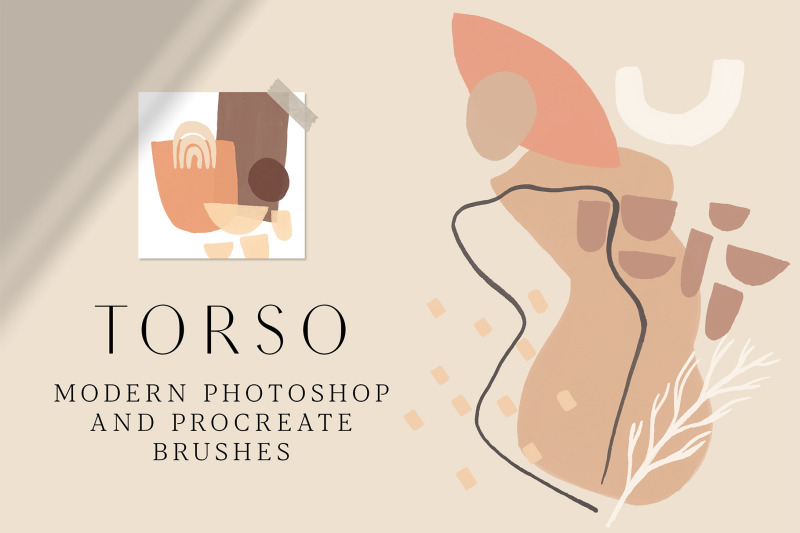 torso-photoshop-amp-procreate-stamps