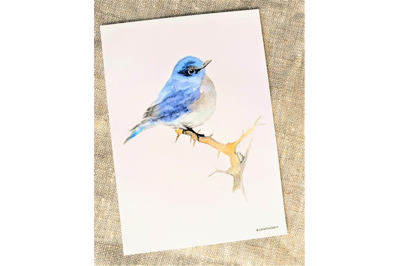 4-birds-set-isolated-watercolor-illustrations-of-four-birds