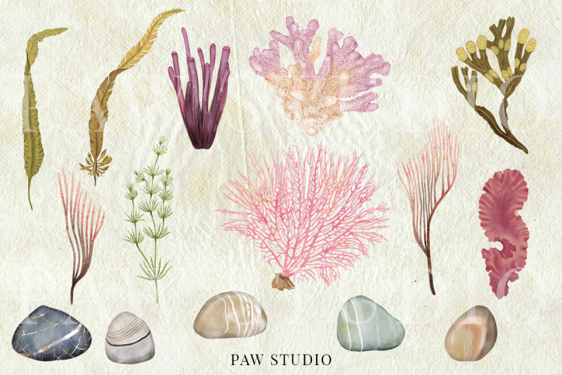 illustration-of-underwater-world-marine-bundle-sea-animals-plants