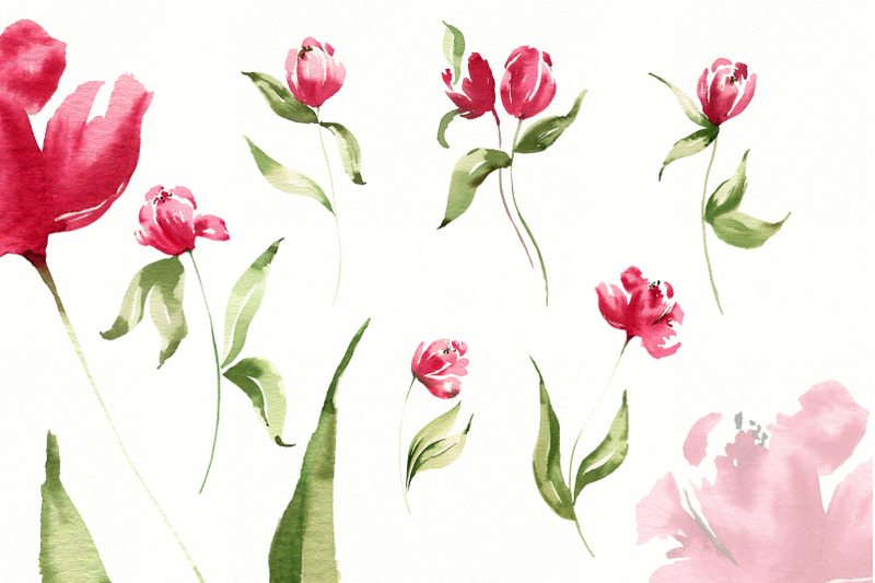 watercolor-pink-tulips-png-clipart-spring-flowers-individual-clipart