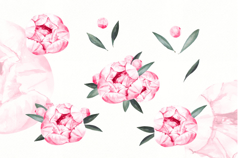 watercolor-peony-flowers-clipart-wedding-flowers-png