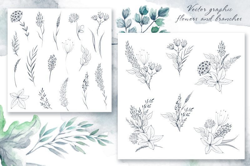 watercolor-herbs-collection