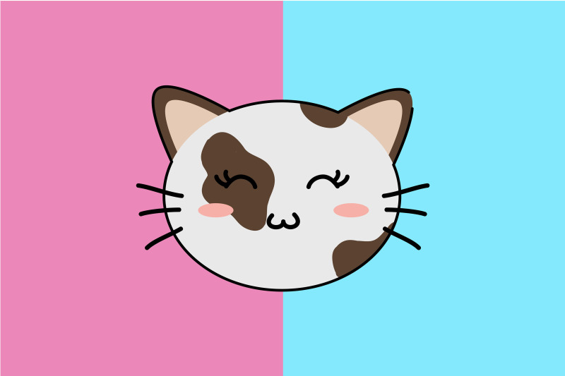 kawaii-cute-cat-with-white-and-brown-patten