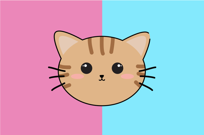 kawaii-cute-brown-cat