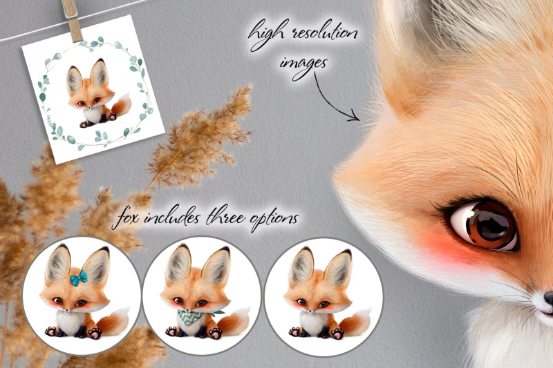 baby-fox-fox-portrait-patterns-and-floral-frame