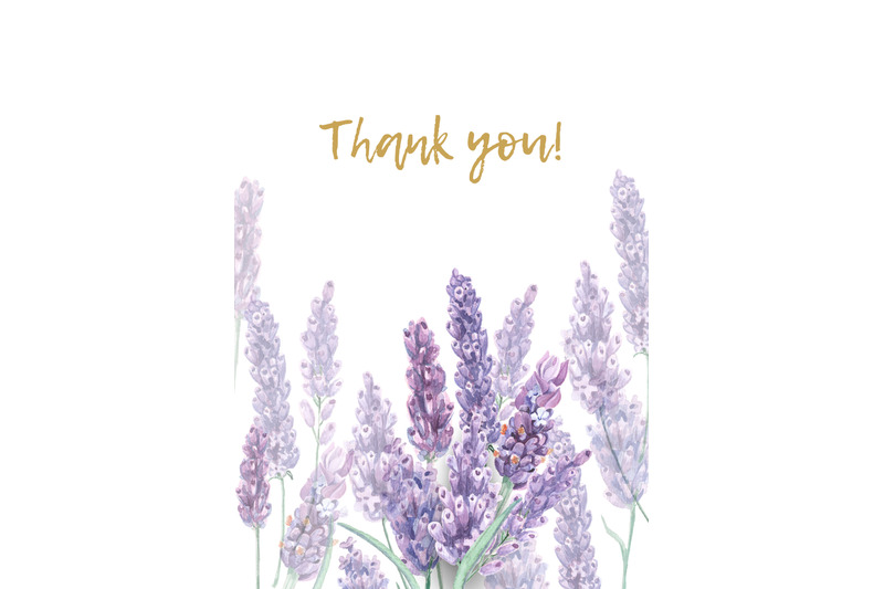 lavender-watercolor-set