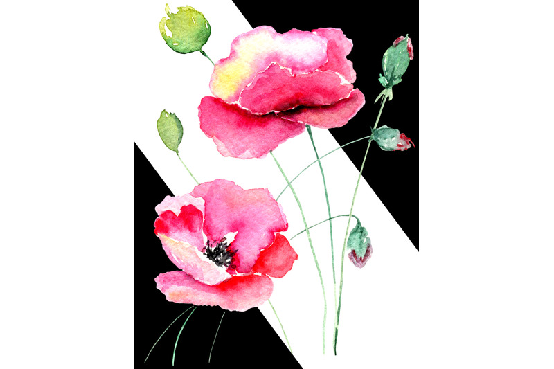 poppy-flower-design-for-future-cards-invitation-and-wedding-decor