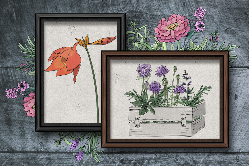 vector-garden-boxes-with-flowers-and-spicy-herbs