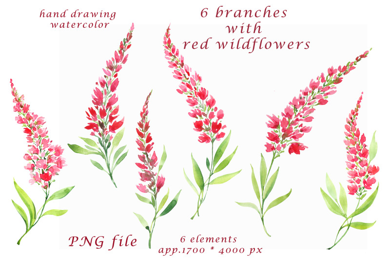 watercolor-hand-painted-red-wildflowers-clipart