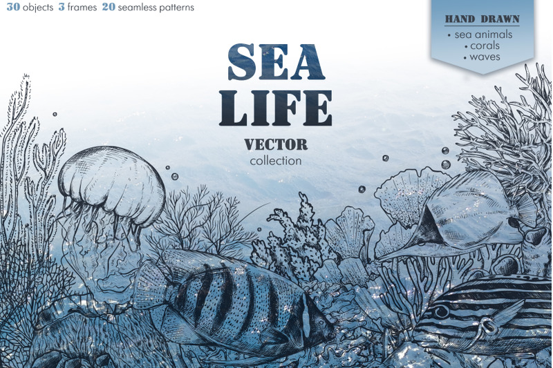 sea-life-vector-collection