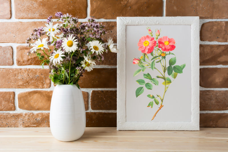 rose-vintage-flowers-botanical-iliustration-vintage-flowers