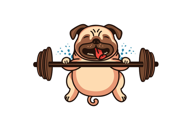 funny-pug-sport-cartoon-character