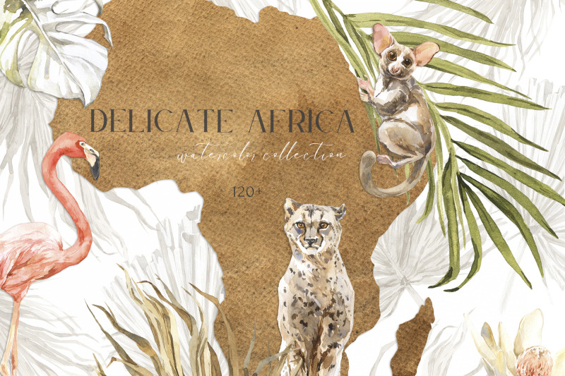 delicate-africa-watercolor-collection