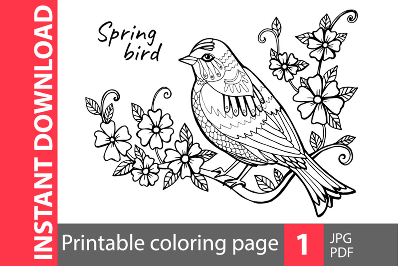 spring-bird-coloring-page