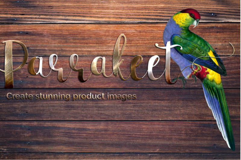 parrot-clipart-parakeet