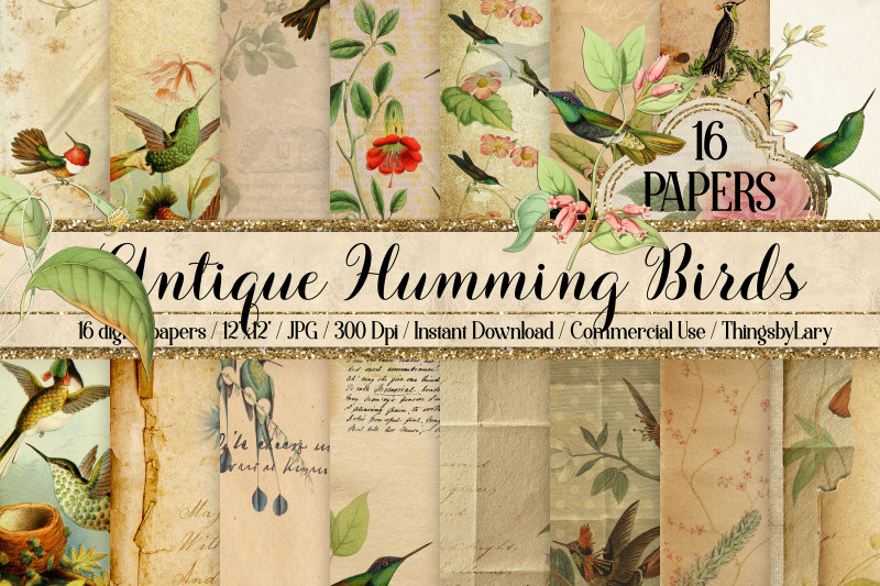16-antique-humming-birds-trochilidae-nature-digital-papers