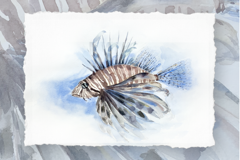 watercolor-lionfish-clip-art-and-print