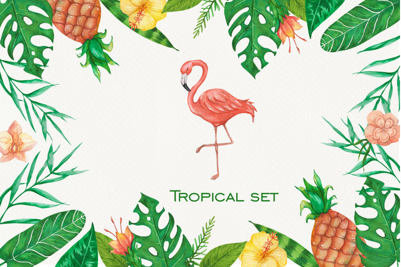 tropical-set